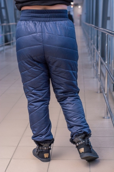 Зимові брюки великих розмірів "Квадро" сині