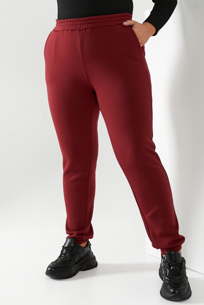 Утеплені спортивні брюки "Ліон" бордо