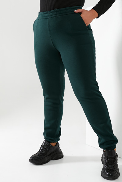 Утеплені спортивні брюки "Ліон" зелені