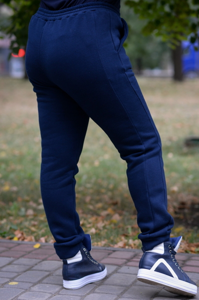 Утеплені спортивні брюки "Дензел" сині