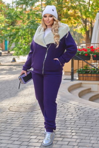 Утеплений спортивний костюм "Раймон" фіолетовий